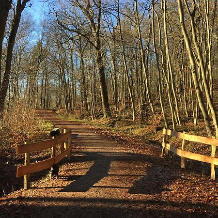 Waldmuehle Leilighet Schleswig Eksteriør bilde