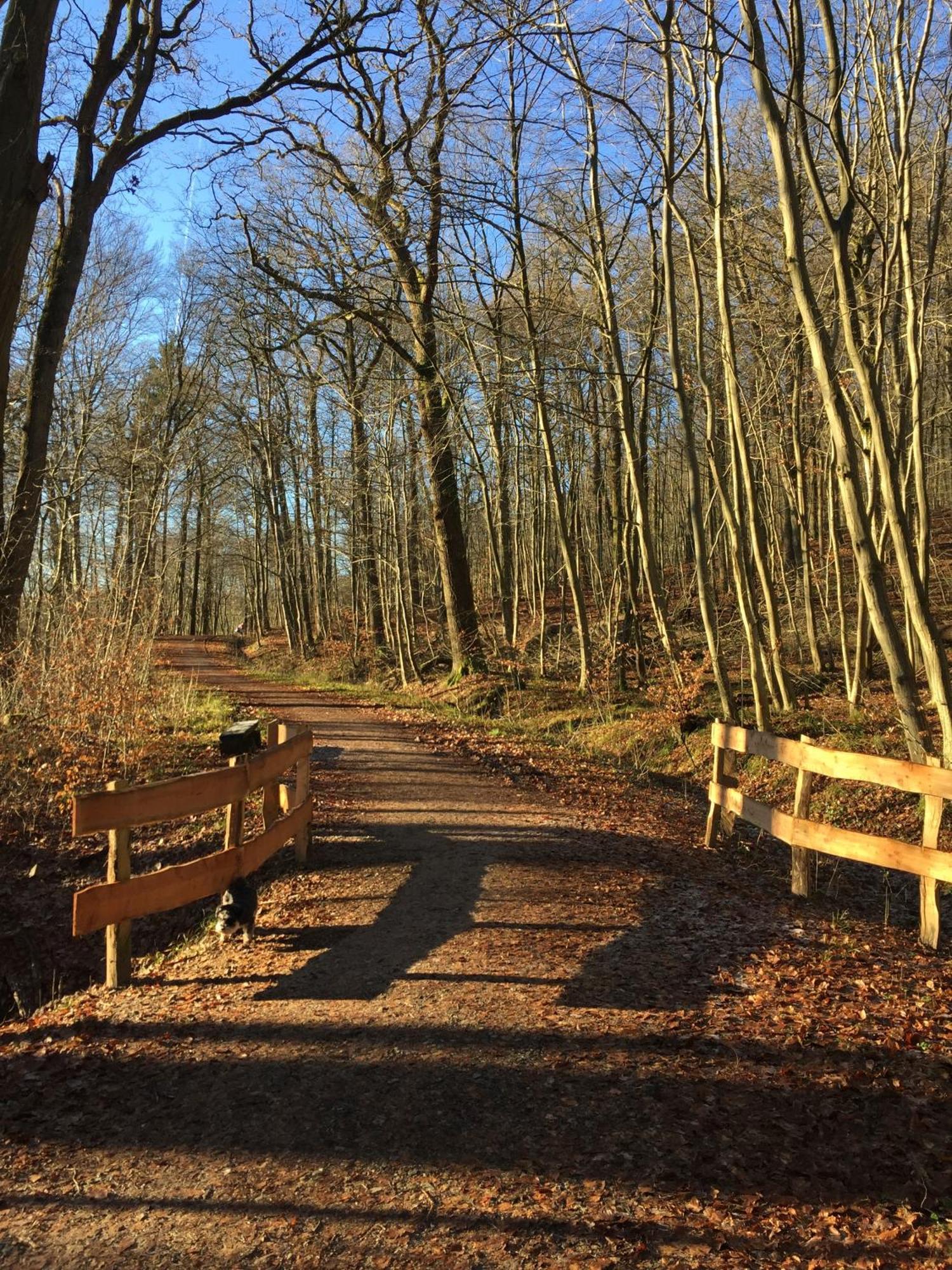 Waldmuehle Leilighet Schleswig Eksteriør bilde